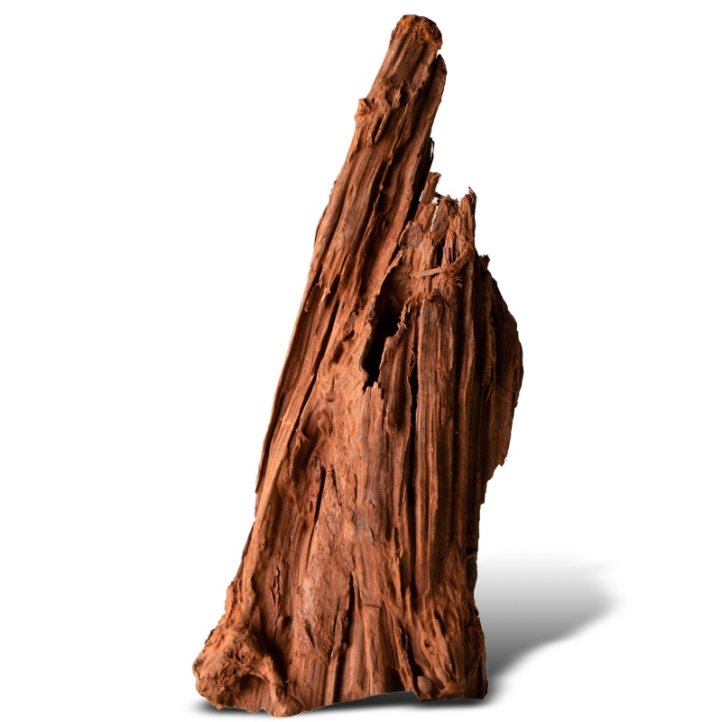 Philippines Classic Driftwood - S size